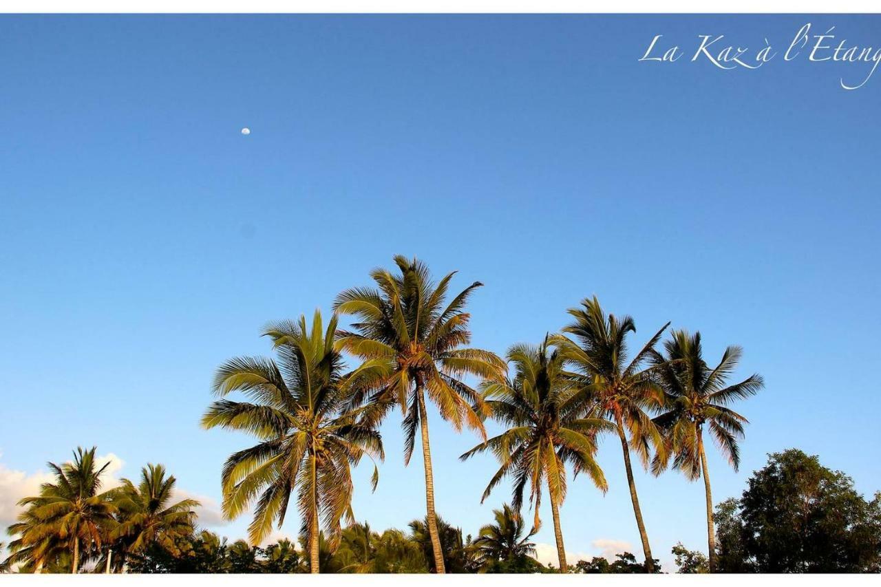 La Kaz A L'Etang - Votre Location De Vacances A L'Ile De La Reunion Saint-Louis Exterior photo